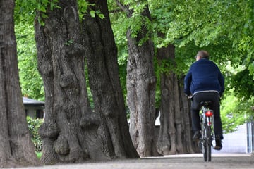 Köln: 10. Kölner Stadtradeln endet mit einem neuen Rekordergebnis