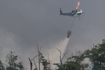 Helikopter-Pilot will Waldbrand stoppen - dann endet der Einsatz in einer Katastrophe