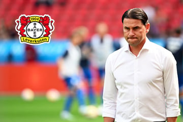 Bayer Leverkusen entlässt Coach Gerardo Seoane: Nachfolger ist ein Ex-Weltstar!