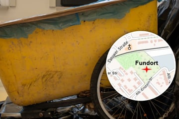 Leichenfund in Waldstück: Identität geklärt, Kiste im Fokus der Ermittlungen