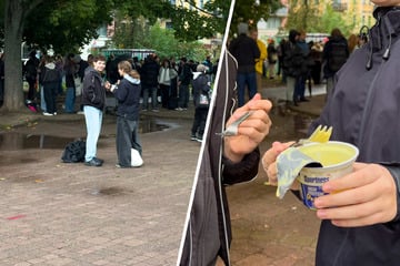 Dresden: Junge Menschen mit Pudding und Gabel im Alaunpark: Was soll das?
