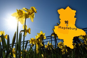 Warm und sonnig: Sachsen-Anhalt freut sich auf Frühlingstage