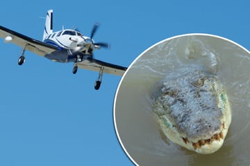 Ungünstiger Absturzort: Flugzeug kracht mitten in Kroko-Gewässer!