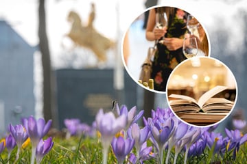 Dresden: Endlich Frühling in Dresden und Umgebung: Mit diesen Tipps versüßen wir Euch den Samstag