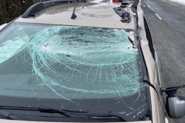 Lkw-Tür klappt während der Fahrt auf - Dacia-Fahrerin verletzt