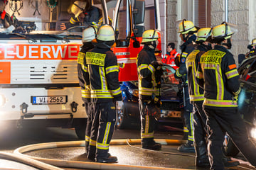 Feuer-Schreck in der Nacht fordert ein Leben: Drama um Katze