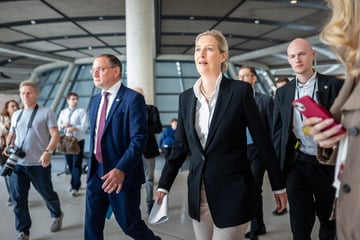 Mehrere zehntausend Demonstranten erwartet: Wird der AfD-Bundesparteitag zur Katastrophe?