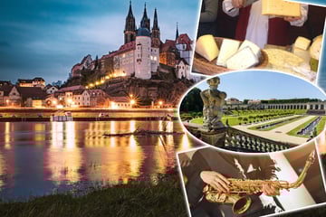 Dresden: Acht Tipps für einen spannenden und ereignisreichen Samstag