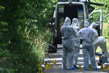 Leichenfund auf Waldweg: Teenager stellt sich und räumt "Tatbeteiligung" ein