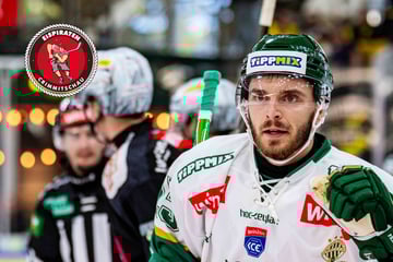 Von Ungarn nach Crimmitschau: Eispiraten verpflichtet neuen Spieler