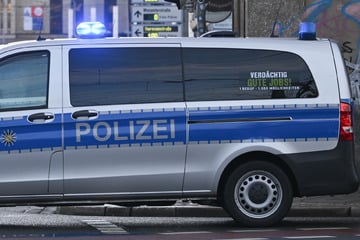 Autofahrer rammt Poller in Dresden: Die Schuld daran gibt er einem Tier
