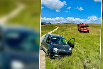 Navi blind vertraut: Urlauberin brettert in den Alpen über Holzweg