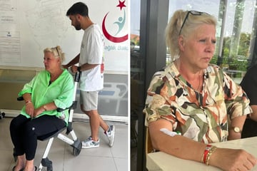 Die Wollnys: Silvia Wollny in türkische Klinik gebracht: Ärzte finden Beweis für einen Hirnschlag