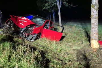 Nach Kollision mit Wildtier: Auto kracht frontal gegen Baum - schwierige Rettung