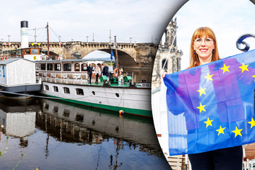 Dresden: Europa-Flagge an den "Weiße Flotte"-Dampfern: Darum weht jetzt die blau-gelbe Fahne