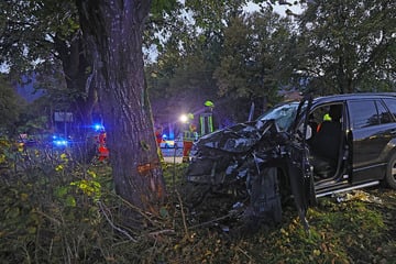 Fahrer verliert Kontrolle, Suzuki kracht frontal gegen Baum: Vier Verletzte