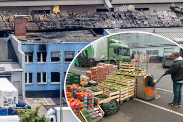 Stuttgart: Nach Großbrand in Stuttgart: Wie wird die Qualität der Lebensmittel gesichert?