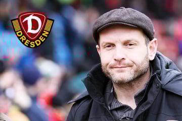 Dynamo-Dresden-Blog: So geht es nach Entlassung von David Fischer bei der SGD weiter