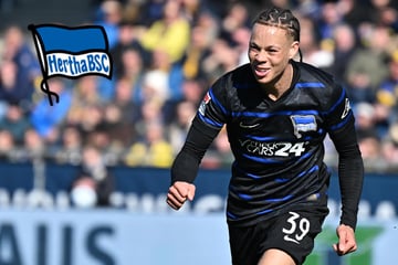 Hertha verliert Stammspieler: Scherhant wechselt nach Freiburg