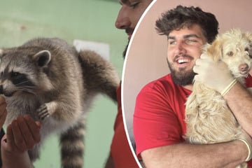 Nachtschichten, schlechte Bezahlung und Co: Trotzdem ist Tierheimleiter dankbar für seinen Job