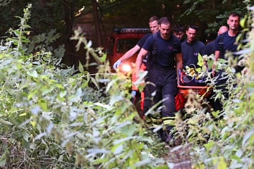 Mitten im Wald: Junge stürzt mit Mountainbike und verletzt sich