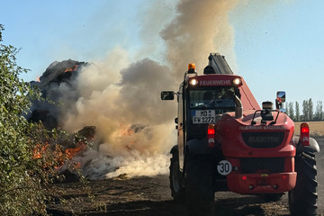 Warnung vor Rauchgas in Magdeburg: Feld in Ostelbien in Flammen