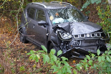 Suzuki kracht in Leipzig gegen Baum: Insassen im Krankenhaus