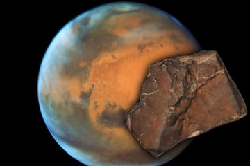 Asteroiden & Meteoriten: Außerirdischer Brocken wird für Millionen-Summe versteigert