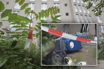 Berlin: Mädchen (1) in Katzenbox aus drittem Stock geworfen: Jetzt spricht eine Zeugin