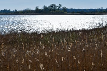 Mutter wird mit ihren Kindern tot aus Teupitzer See geborgen