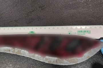 Köln: Grusel-Fund in ICE! Mitarbeiter entdeckt Schlafenden mit blutverschmierter Machete