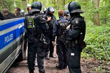 Nach "Hambi" kommt "Grembi": Aktivisten besetzten Waldgebiet in Köln - Polizei räumt Camp