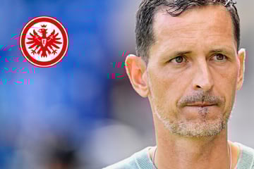 Millionen-Flops bald weg? Zwei Eintracht-Stars bereiten Coach Dino Toppmöller Kopfzerbrechen