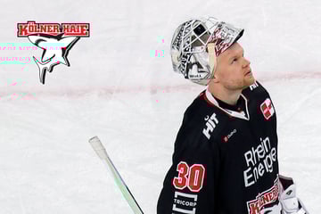 Gute Vorzeichen für die Play-offs? Kölner Haie räumen bei DEL-Preisverleihung ab