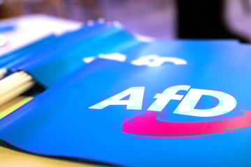 AfD klagt gegen Einstufung als Verdachtsfall: Bundesgericht hat entschieden