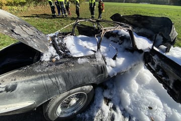 Autoliebhaber-Herz bricht: Seltener Oldtimer brennt komplett aus