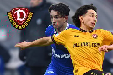 Er spielte zehn Jahre im Schalke-Nachwuchs! Dynamos Ceka trifft auf Ex-Klub