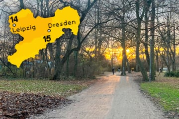 Gerade noch Frost, jetzt Frühlingswetter: Wo ist plötzlich der Winter hin in Sachsen?