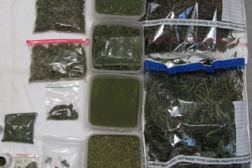 Genug Grünzeug für ein besinnliches Fest: Polizei beschlagnahmt große Menge Marihuana