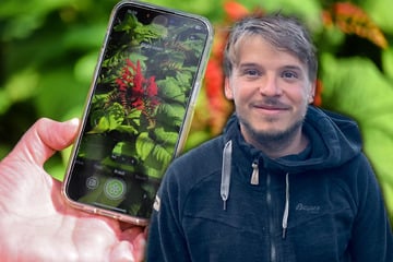 Leipzig: Mit "Flora Incognita"-App: Leipziger wollen Deutschlands 17 Millionen Gärten erforschen
