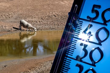 Berüchtigtes Wetterphänomen erkannt: Angst vor Dürre und Rekord-Hitze