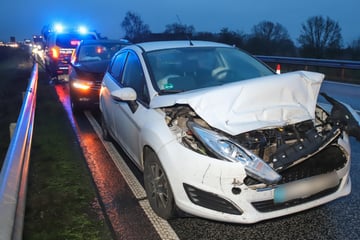 Unfall mit drei Autos: Freilaufender Hund stirbt bei Crash auf Bundesstraße