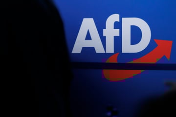 Neue Jugend-Organisation der AfD: Tausende zu Demos erwartet, Polizei gefordert