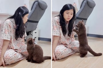 Frau ruft immer wieder Namen ihrer Katze: Wie das Tier reagiert, begeistert so viele