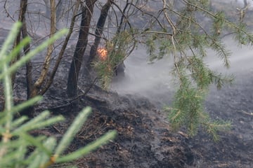 Waldbrand in Gera: Davon geht die Polizei aus!