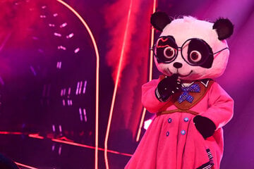 The Masked Singer: Von Monrose bis zum Ghetto-Chef: Der Panda gewinnt "The Masked Singer"