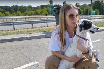 Als Passantin Hund genauer ansieht, sie entsetzt zum Telephone