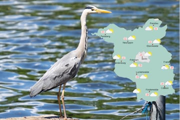 Nach Hitze-Wochenende kühlt es sich etwas ab in Berlin und Brandenburg