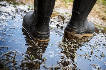 50 Millionen Schaden in 48 Stunden: Unwetter vernichtet ganze Ernten