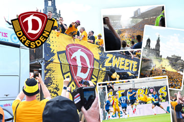 Vom Aufsteiger zum Sorgenkind! Das verrückte Dynamo-Jahr 2025